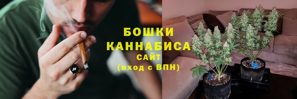 ECSTASY Бородино