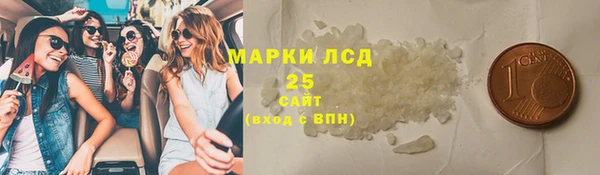 ECSTASY Бородино