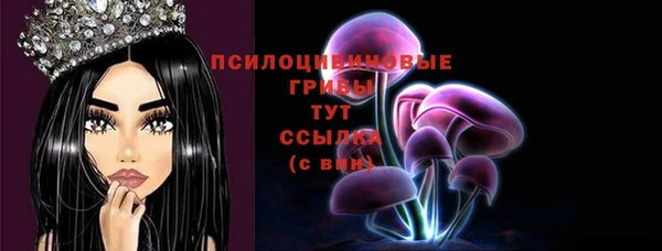ECSTASY Бородино