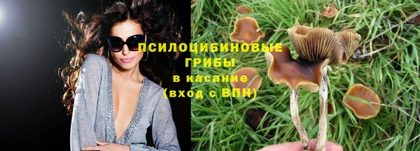 бутират Бронницы