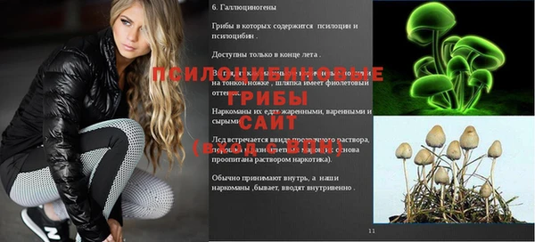 ECSTASY Бородино