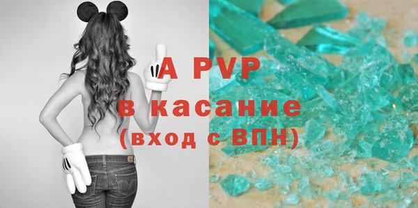 ECSTASY Бородино
