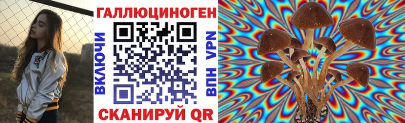 магазин продажи наркотиков  Разумное  Псилоцибиновые грибы Psilocybe 